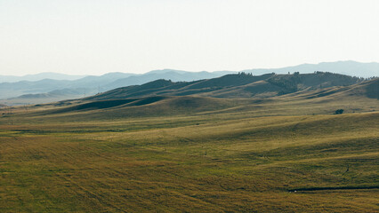 Golden fields glowing under the warm hues of a summer sunset, creating a serene and picturesque rural landscape.