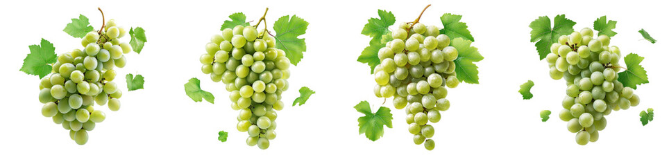 Obraz premium Green grape clusters and leaves flying mid-air, isolate on white background. Mix collection cutout png.