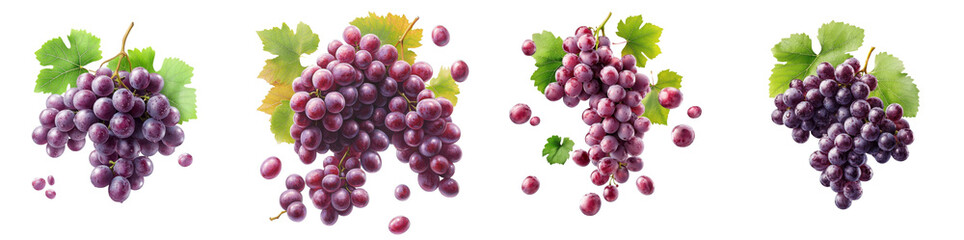 Fototapeta premium Purple grape clusters and leaves flying mid-air, isolate on white background. Mix collection cutout png.