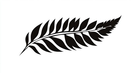 Fototapeta premium Black fern frond, isolated, white background, nature design (1)