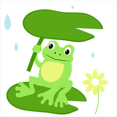 frog cartoon style, flat, animal under rain