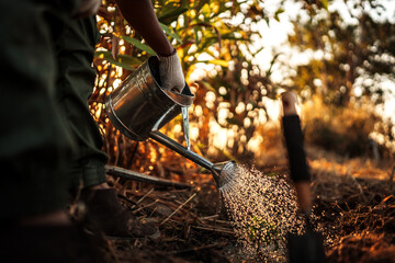 Farmers pour water onto trees with a watering can after planting trees. © Charnchai saeheng