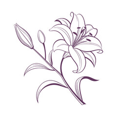 Graceful Lily Silhouette: Nature's Beauty in Bloom
