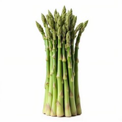 Green Asparagus Spears Bundle Isolated on White Background Fresh Raw Vegetable Still Life Concept