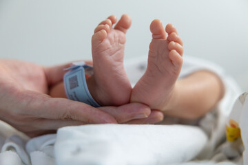 new born baby feet hold mother's hand with blurred QR Code of identity tag. concept : Premature or...