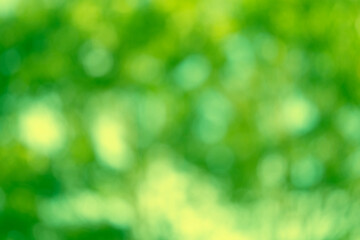 Fototapeta premium sunny green natural blurred bokeh lights, abstract background banner with sun glare, green foliage flutter in wind, summertime season, good weather, natural placement presentation
