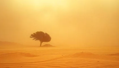 Fototapeten Lone tree endures desert sandstorm windswept landscape © Wida