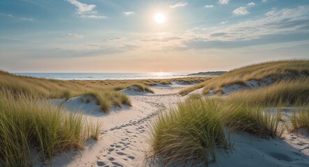 Empty beach with distant dunes in summer soft breeze moving the grass sun high in the sky