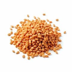 Pile of Golden Brown Wheat Seeds Ready for Milling and Processing on White Background Studio Shot