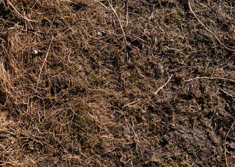 Top view of soil texture. Earth background, dirty hard clay. Barren field, drought. Field problems, dry terrain