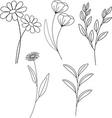 Set of botanical design element. Flower and branches hand drawn. Vector illustration. 
