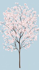 Watercolor Cherry blossom blooming flower,Sakura tree or forest side view,Cherry tree spring flower background,elements for environment and garden,botanical in spring season.
