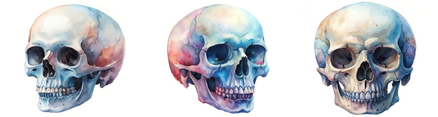 Watercolor skull illustrations, artistic skull designs, colorful anatomy artwork, vibrant skull imagery, educational medical visuals.