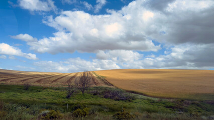 South Africa countryside. Open landscape with rolling hills, fields, farmland, blue sky and clouds