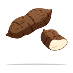 Yam vegetable vector isolated illustration