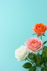 Elegant rose bouquet displayed against a soft blue background for natural beauty inspiration
