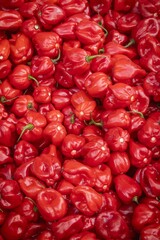 Fresh Red Habanero Peppers