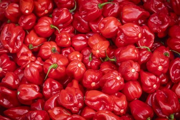 Vibrant red habanero peppers at market