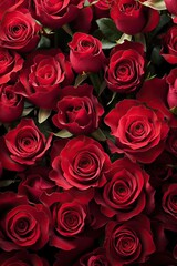 Natural background of red roses. Color of the holiday. Gift for a woman