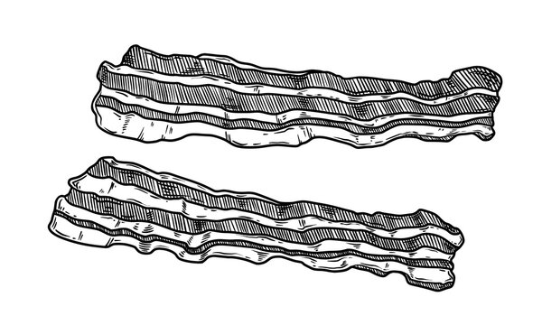 Bacon two crispy slices food illustration in the graphic line art style. Hand drawn outline element of breakfast meat meal. Perfect for menu creating and modern sketch designs.