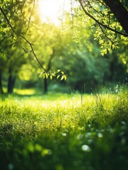 Defocused green trees in forest or park with wild grass and sun beams. Beautiful summer spring natural background