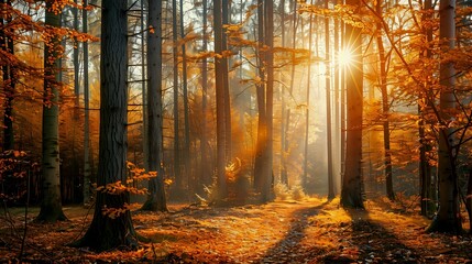 A serene autumn forest scene with vibrant orange leaves and a misty atmosphere.