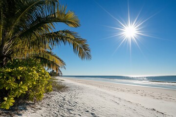 Sunny beach scene with palm tree, white sand, and blue ocean under a bright sun.