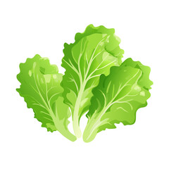 lettuce