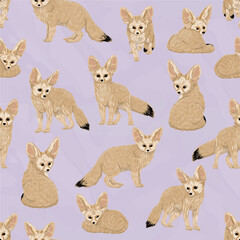 Seamless pattern with realistic fennec foxes. Vector animal