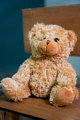 bear, teddy, toy, brown, animal, isolated, soft, teddy bear