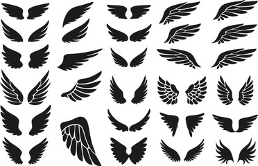 Wings logo set. Vector illustration
