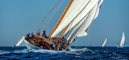 Sailing yachts regatta. Yachting. Sailing race	
