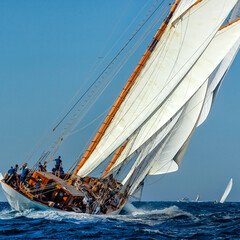 Sailing yachts regatta. Yachting. Sailing race	

