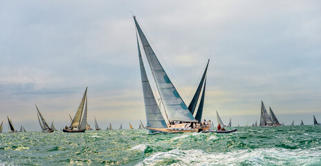 Sailing yachts regatta. Yachting. Sailing race	
