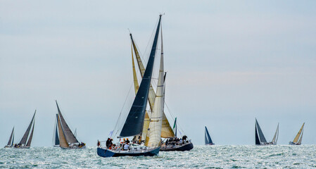 Sailing yachts regatta. Yachting. Sailing race   © Alvov