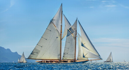 Sailing yachts regatta. Yachting. Sailing race   © Alvov
