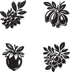 Obraz premium Barberry Silhouette Collection - Vector Illustrations of Barberry Berries and Leaves