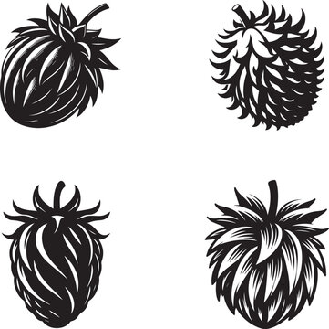 Marang Fruit Silhouette Collection - Exotic Tropical Fruit Illustrations