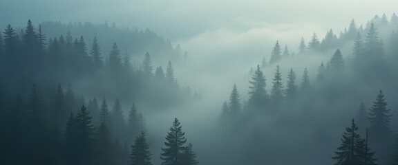 Obraz premium Cinematic landscape revealing the beauty of endless pine forests shrouded in misty hues at dawn