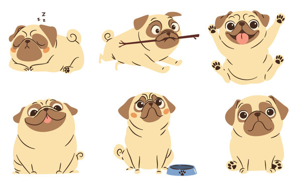 A set of flat vector illustrations in a simple children's style. Cute funny dogs of pug breed in different poses on white background . Vector illustration