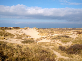 Noordhollands Duinreservaat, Egmond aan Zee, Noord-Holland province, The Netherlands