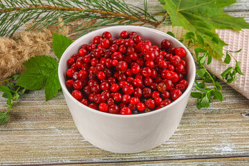 Natural organic wild forwst lingonberry