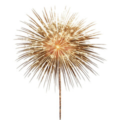 Obraz premium Abstract Firework Explosion Gold and multicolored design,