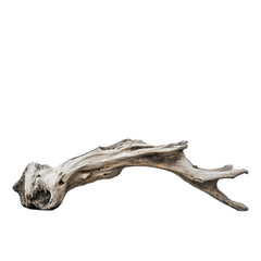 Obraz premium Weathered driftwood piece isolated on white background nature wood texture