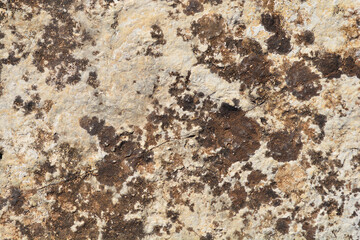 Detail of the stone surface with cracks and lichen growth on a sunny day