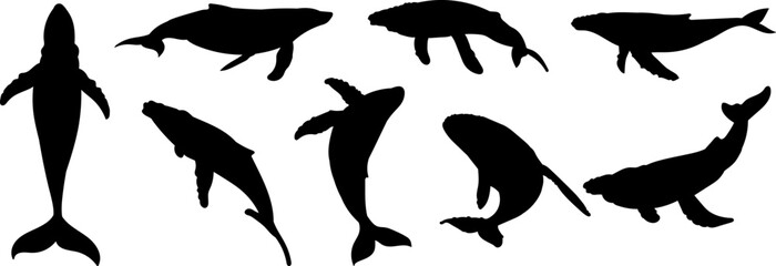 set of silhouettes of whales in different angles, vector