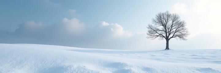 Fototapeta premium Snow-covered ground with bare tree in the distance, landscape, snow