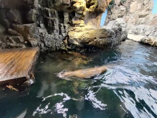 Osaka Beautiful city in the middle of Japan