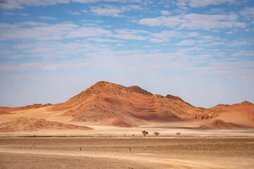 road to the desert (landscape format)