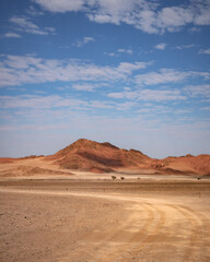 road to the desert (portrait format)